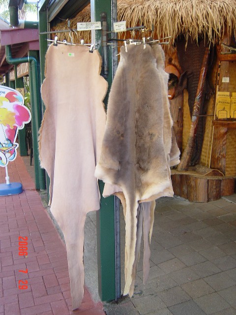 カンガルー毛皮